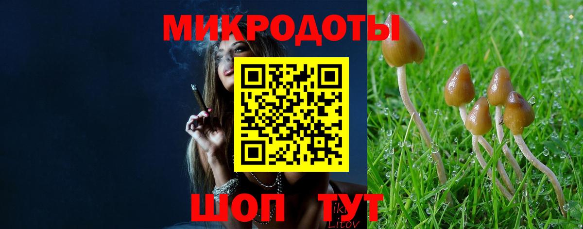 Галлюциногенные грибы Psilocybine cubensis Волгодонск